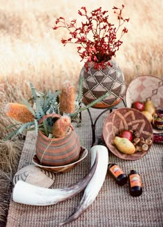 an assortment of native items are displayed on a table in the grass with dried flowers and feathers