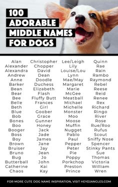 a dog with its mouth open and the words, 100 adorable middle names for dogs