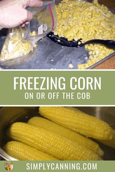 freeze corn on or off the cob