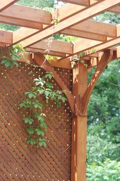 a wooden pergolan with vines growing on it