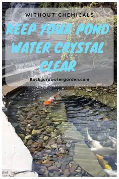 a pond with rocks and water in it that says, without chemicals keep your pond water crystal clear