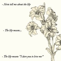 an ink drawing of flowers with the words, now tell me about the lily