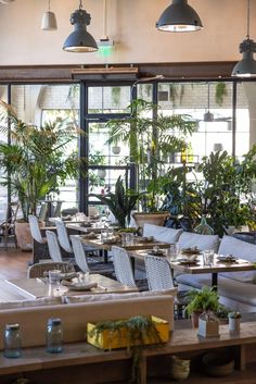 an indoor restaurant with tables, chairs and potted plants