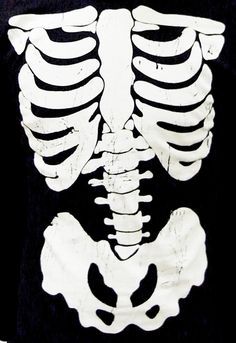 an image of a skeleton that looks like it is in the middle of a body