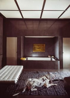 a dog laying on top of a rug in a living room next to a bed