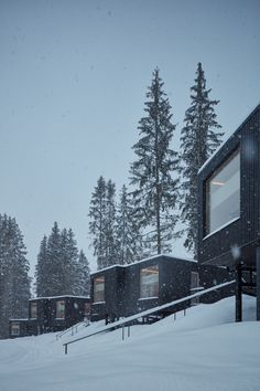 snow falling on the ground and houses in the distance with trees behind them at night