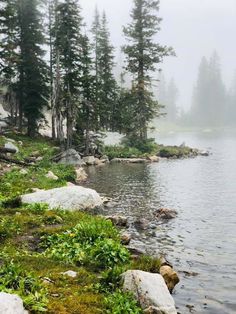 a body of water surrounded by trees and rocks on a foggy day in the mountains