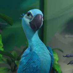 a blue parrot standing next to another bird