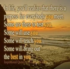 an image of a sunset with the quote in life, you'll relize that there is a purpose for everybody you meet