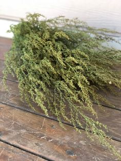 a bunch of green plants sitting on top of a wooden table