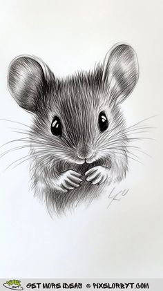 a black and white drawing of a rat with its paws on it's face