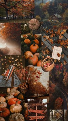 a collage of pictures with pumpkins and trees in the fall, along with other autumn scenes