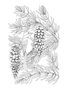 a black and white drawing of pine cones and a bird on a branch with leaves