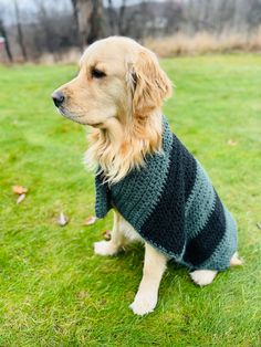 This forest green, and dark charcoal grey striped sweater is a poncho style that is adorable and classy at the same time. Your pet is sure to turn heads when wearing this unique pet sweater! Crochet Dog Jacket, Crochet Dog Hoodie, Crochet Pet Sweater, Dog Sweater Crochet, Hoodie Crochet, Poncho Au Crochet, Crochet Pet, Jacket Crochet, Crochet Dog Sweater