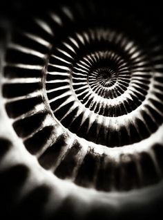 an image of a spiral design in black and white photo taken from the bottom up