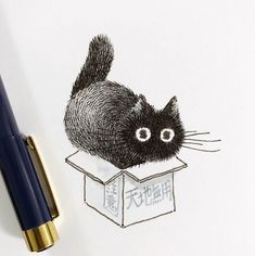 a drawing of a black cat sitting in a box with chinese writing on the side