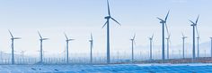 a row of windmills with solar panels in the foreground