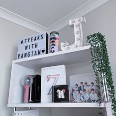 a white shelf with various items on top of it and a plant in the corner