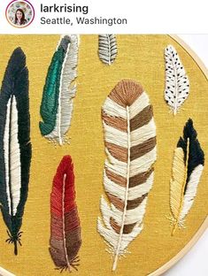 there are many different colored feathers on the embroidery