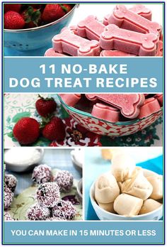 there are pictures of different dog treats in this collage with the words, 11 no bake dog treat recipes you can make in 15 minutes or less