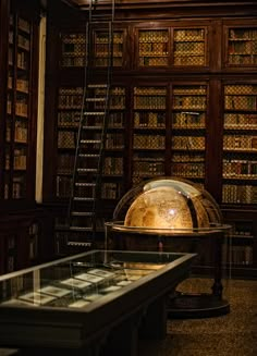 an old library filled with lots of books and glass cases full of goldfish eggs