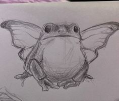 a drawing of a frog with wings on it's back legs and eyes open