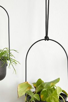 two potted plants hanging from hooks on the wall next to each other with one plant in it