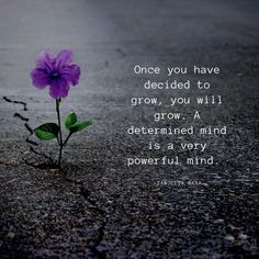 a purple flower is growing out of the ground with a quote on it that says, once you have decided to grow, you will grow a determined mind is a very powerful