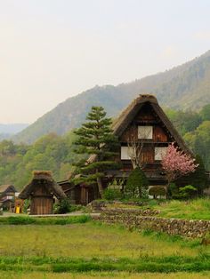 an old wooden house with thatched roof in the middle of a grassy field next to mountains