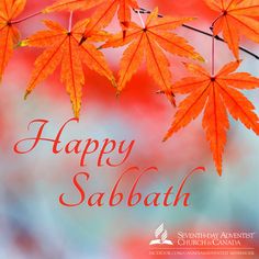 happy sababath greeting card with autumn leaves on the branch and blurred background