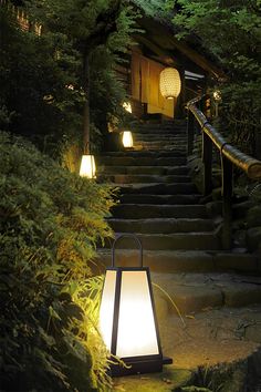 stairs lit up with lights in the middle and trees on either side, leading to an entrance