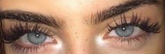 Pretty Green Eyes, Pretty Eyes Color, Heterochromia Eyes, Beautiful Eyes Color, Thick Eyebrows, Gray Eyes, Aesthetic Eyes, Longer Eyelashes, Hazel Eyes