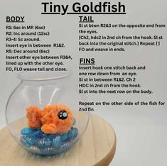 a tiny goldfish in a fish bowl on a wooden table with instructions about how to use it