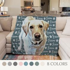 a dog is shown on the couch in this living room with blue and gray colors