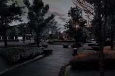 an empty park with benches and trees at dusk