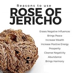 Rose of Jericho House Blessing Money Magic Love Magic - Etsy Canada Spiritual Herbs, Magickal Herbs, Witchy Tips, Home Remedies For Skin