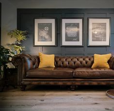 a brown leather couch sitting in front of two framed pictures