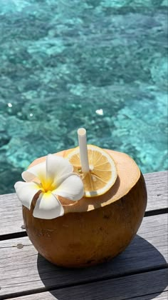 a drink in a coconut shell with a flower on the side and water in the background