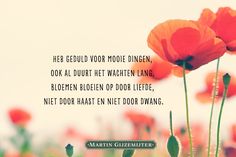 an image of red flowers with a quote on the bottom that says, he gerud voor mooie dingen