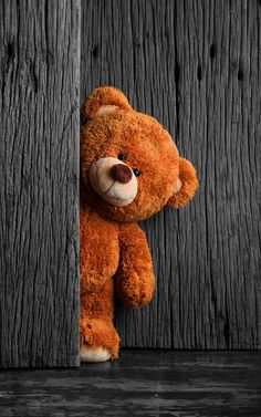 a brown teddy bear peeking out from behind a wooden wall with words written on it