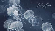 some very pretty jellyfish floating in the water