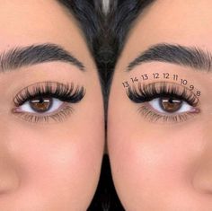 Lash Extentions Maps, Eyelash Extension Lengths, Lashes With Numbers, Lashes Extensions Numbers, Cat Eye Mapping Eyelash Extensions, Lashes Extensions Cat Eye, Eyelash Extensions Mapping Styles, Lash Extensions Ideas