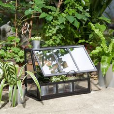 a mirror sitting on top of a table next to potted plants