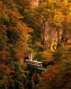 a train traveling over a bridge in the middle of trees with fall foliage around it