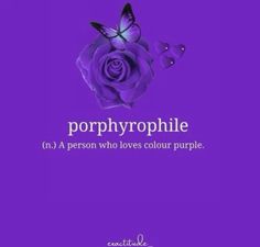 a purple rose with butterflies on it and the words, porrhophile