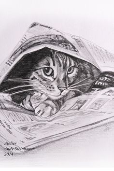 a pencil drawing of a cat peeking out from under a book with money in it