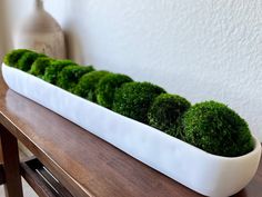 a planter filled with green moss sitting on top of a wooden table