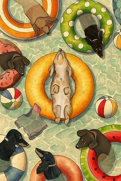 a painting of dogs and donuts floating in the water with life rings around them