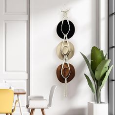 three hats hanging on the wall next to a potted plant in a white room