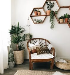 a living room with plants and potted plants on the wall